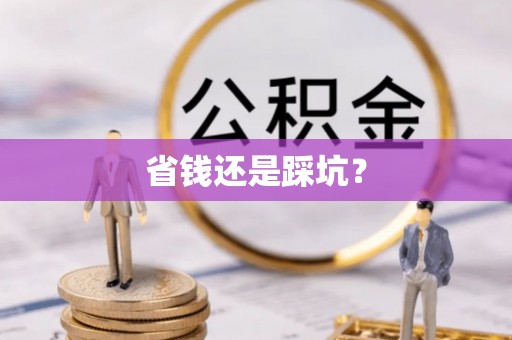 海西省钱还是踩坑？