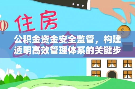 海西公积金资金安全监管，构建透明高效管理体系的关键步骤