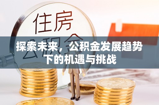 海西探索未来，公积金发展趋势下的机遇与挑战