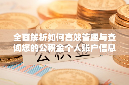 海西全面解析如何高效管理与查询您的公积金个人账户信息