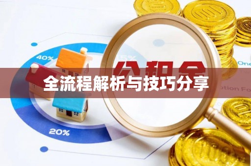 海西全流程解析与技巧分享